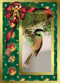 "Evergreen Acrobat" 3.6x5 card