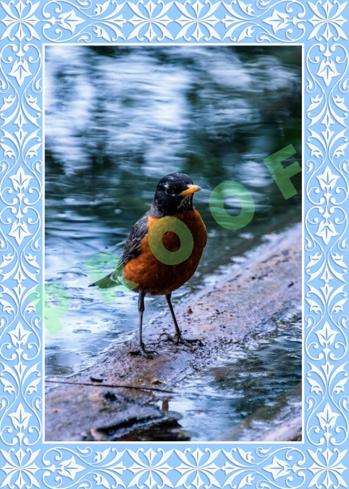 "Rivers Edge" 3.6x5 card